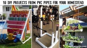 pvc51