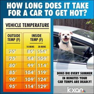 car-heat-300x300