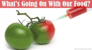 BIG-GMOs