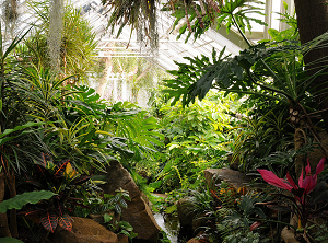 underground-garden