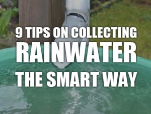 rain-water-collection