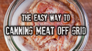 BIG-Meat