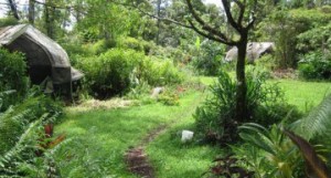 permaculture-business1